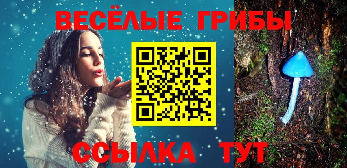 Пенза  Галлюциногенные грибы Cubensis  дарнет шоп  Галлюциногенные грибы Psilocybine cubensis  Вход с VPN 