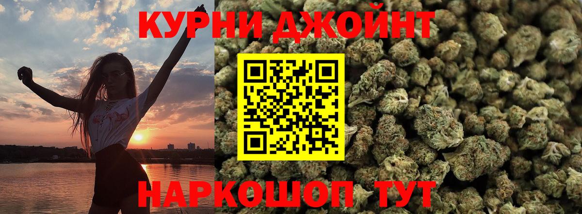 Конопля сатива Пенза